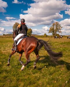 What to Do After a Horse Throws You Off