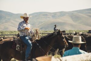 Why Does My Horse Chew His Lead Rope?
