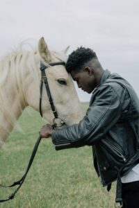 Can Horses Feel Human Pain?