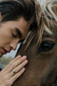 Why Does My Horse Lean on Me?