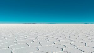 Which salt block is best for horses?
