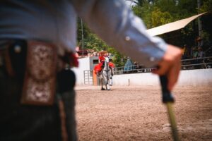 Are Quarter Horses the Best for Dressage?