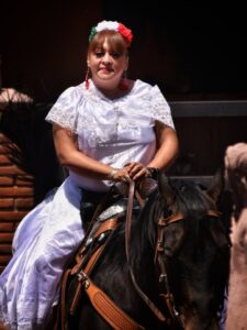 Are Quarter Horses the Right Breed for Beginner Riders?