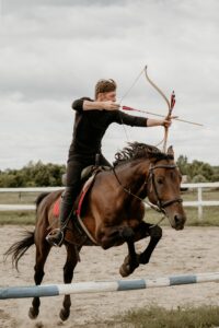 are quarter horses good for show jumping