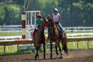 Are Quarter Horses the Best Choice for Heavy Riders?