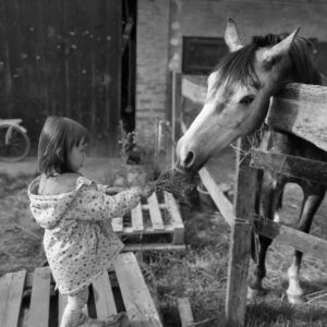 Do Horses Bite to Show Affection?