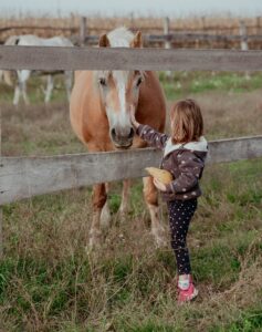 How Long Can a Horse Remember Someone?
