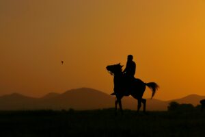 Are Quarter Horses Cut Out for Endurance Riding?