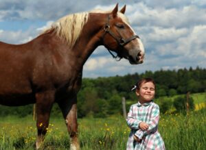 How Much Vegetable Oil Should I Feed My Horse?