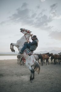 Why Do Horses Fall Down?