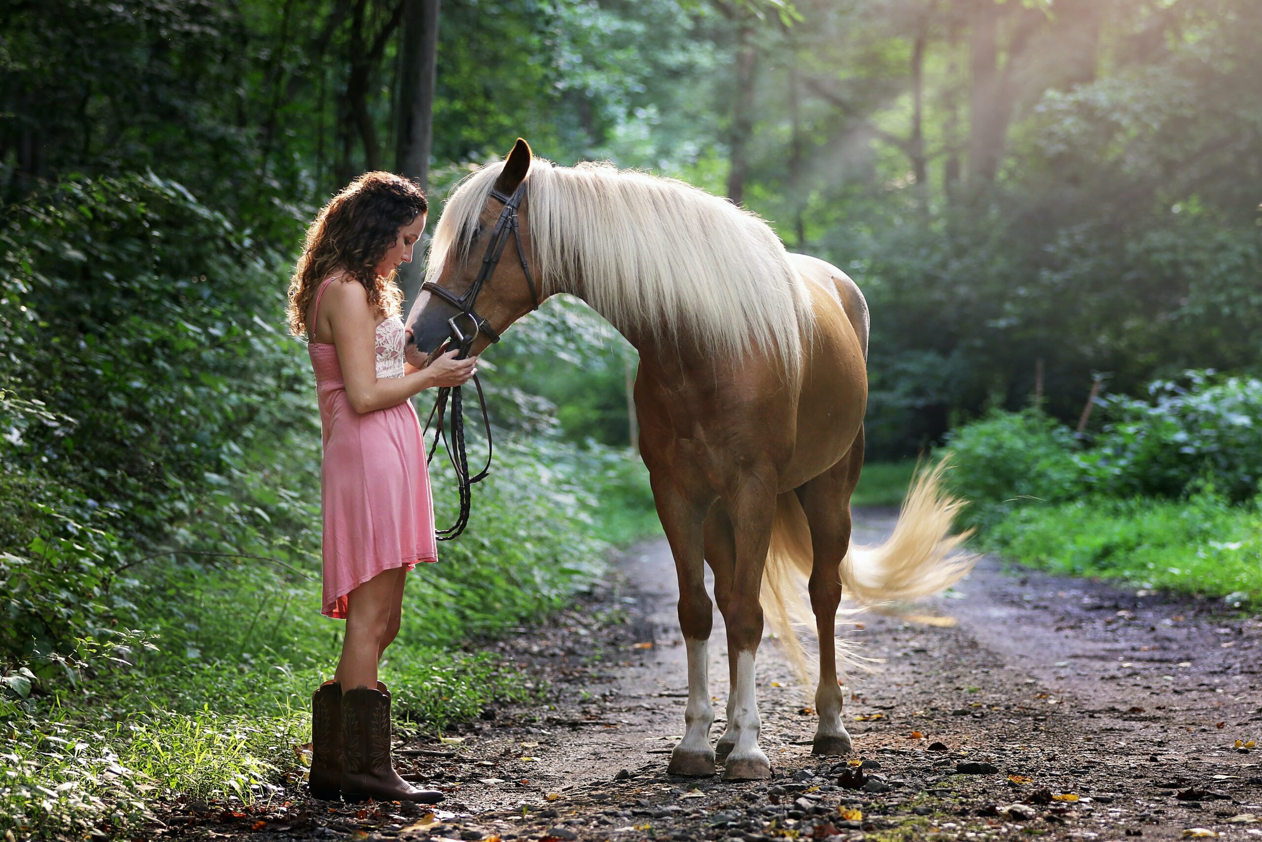 Should I Feed My Horse Before Riding?