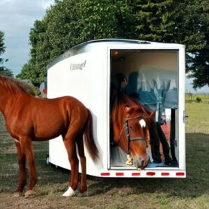 Can You Tow a Horse Trailer with a Volvo XC60?