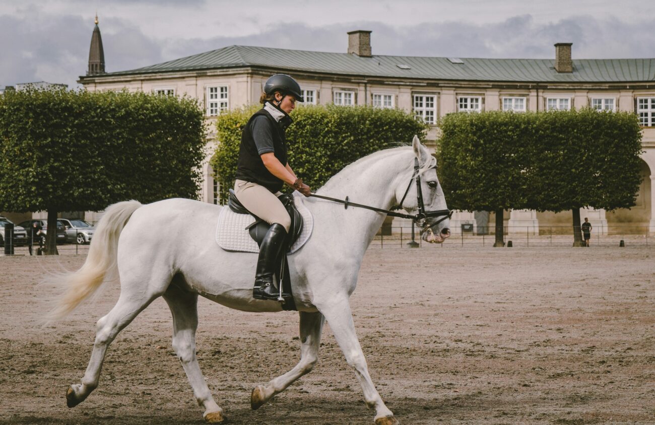 A rider in a helmet, beige breeches and black tall boots trots a white horse across a sand arena in front of a palace
