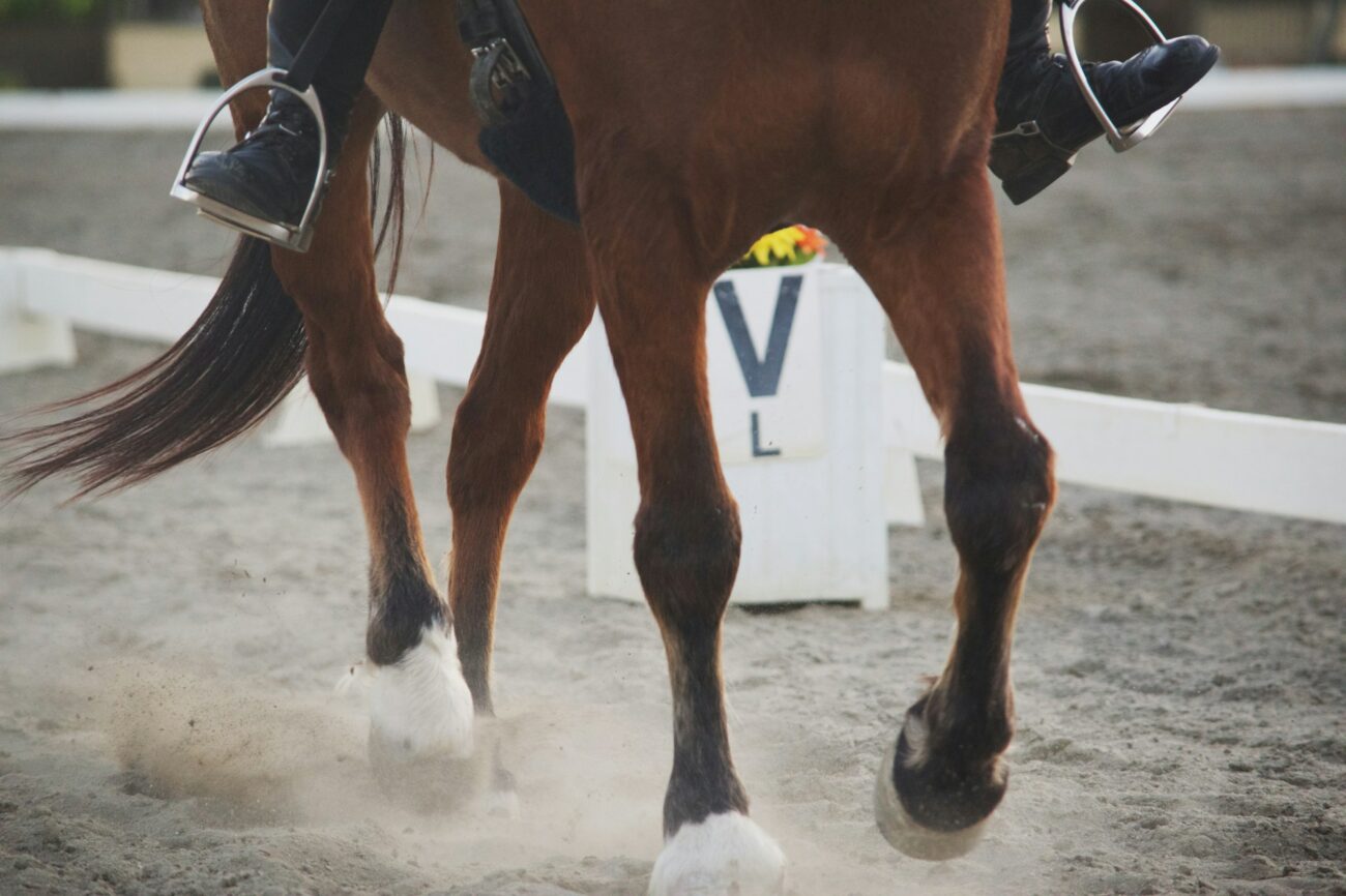 A rider's feet in metal stirrup irons above the legs of a bay horse trotting through dust in a dressage arena